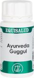 Equisalud Ayurveda Guggul 50 Gélules
