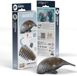 EUGY 3D Puzzel - Zeekoe - Zeedieren - Duurzaam - Verzamel Ze Allemaal - 6 Jaar
