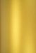 Netuno Goud Metallic Papier A4 250 gram 20 vellen Aster Metallic Cherish