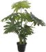 Louis Maes Groene gatenplant kunstplant in zwarte kunststof pot 55 cm - Philodendron Selloum - Woondecoratie