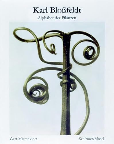 Karl Schirmer/Mosel Verlag Gmbh Alphabet der Pflanzen