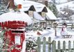 Alipson Puzzle Robins in the Snow 500 stukjes