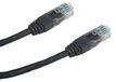DATACOM câble patch UTP CAT6, 1 mètre, noir