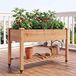 Châssis surélevé mobile en bois - 120 x 60 x 83 cm