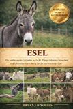 ESEL: Bol Esel Paperback
