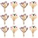 Set de 12 mini fleurs séchées pour décoration