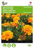 Buzzy Afrikaan Petite Orange - Tagetes patula nana