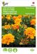 Buzzy Afrikaan Petite Orange - Tagetes patula nana