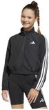 Adidas Essentials Climacool Jas Zwart 9-10 Years Meisjes