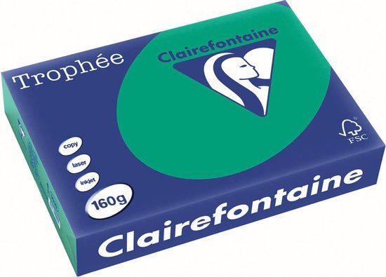 Clairefontaine Trophée Intens Gekleurd Papier A4 - Dennengroen - 160g - 250 Vel