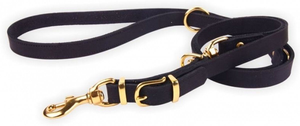 Dog's Companion - Leren Hondenriem - 220 cm x 12 mm - Exclusive Gold - Zwart