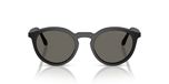 Giorgio Armani AR 8230U Lunettes de Soleil Homme Noir Pantos Gris 48mm