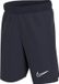 Nike Dri-FIT Academy Sportbroek Kids - Blauw - Maat 134