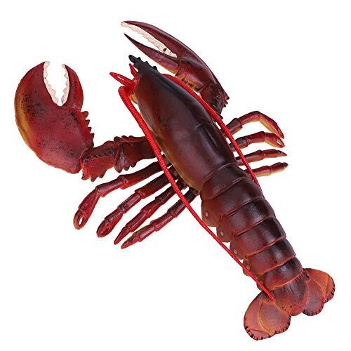 Xirfuni Plastic kreeftdecor, gladde en zachte, veilige plastic kreeft, met(Dark-Australian Lobster, 23cm)