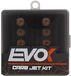 Evok Dell Orto 6 mm 150-172 121681022 Gicleur principal Transparent