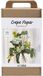 Creativ company CC Maxi Craft Kit Crepe Paper, Flower bouquet, light green, dark green, pastel green, white, 1 pack