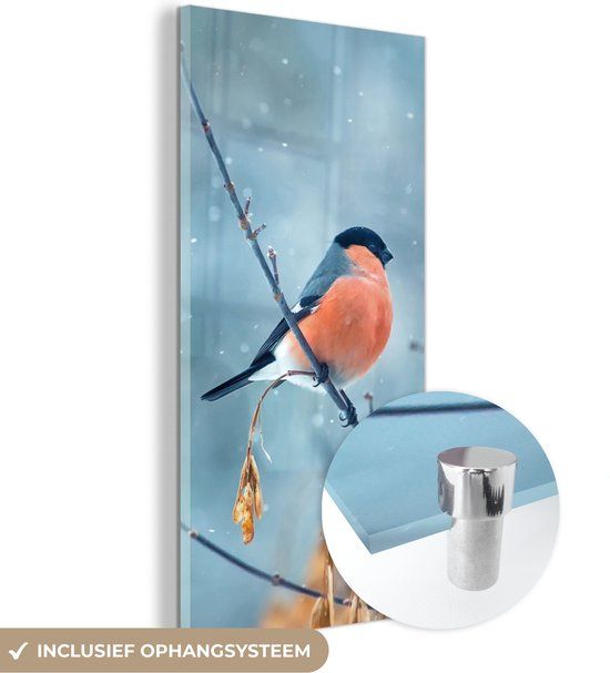 MuchoWow® Glass Painting 60x120 cm - Robin - Bird - Snow - Autumn Leaves - Photo on Glass - Paintings