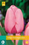 jub Tulipa Pink Impression bloembollen 10 bollen Tulp JUB
