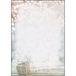 Sigel DP135 Christmas Greeting Cards, 100 Count