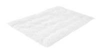Träumeland T060561 babydeken/inschuifdeken 'Donslicht' - dekbed voor het hele jaar met 100% donsvulling, downpas gecertificeerd, 100 x 135 cm, wit