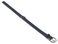 Nobby Pacific Kraag, 32 cm, Grijs