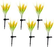 Lumisky Set van 6 plantenlampen op zonne-energie FERNY H58CM