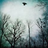 Be Over The Ocean - Be Given To The Soil (2 LP) (Limited Edition) (Coloured Vinyl)