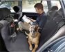 Autostoelhoes, Arquivet Bescherming hoes voor autostoelen