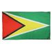 AZ FLAG Vlag Guyana 150x90 cm Vlag Guyaans Licht Polyester 4 Ringen | Binnengebruik decoratieve vlag dubbel gestikte naden en verstevigde randen met metalen ogen
