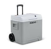 IGLOO IE42 elektrische koelbox 42L – 12V en 230V – Thermo-elektrische koelbox met wielen en telescoopgreep voor auto, camper, camping en vrachtwagen – Koelt tot 20 °C onder de omgevingstemperatuur