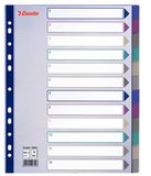 Esselte Indexed Dividers Maxi Format Polypropyleen Set van 12 Tabs Diverse Kleuren Doorschijnend