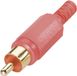 BKL Electronic 0104004/T Connecteur Cinch, droit Nombre de pôles : 2 Noir 1 pièce(s)
