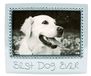MARIPOSA Beste Hond Ooit Frame, Zilver, 4" x 6"