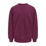ONLY KIDS ONLY GIRL sweater - donkerpaars