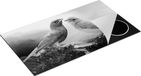 Chefcare Inductie Beschermer Getekende Gorzen Vogels - Zwart Wit - 95x55 cm