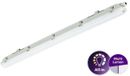 Philips LED Waterdichte Montagebalk Ledinaire WT065C 23/42W 2900/4800lm - 840 Koel Wit | 120cm