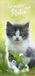 Katzen Heye Katzen slim - Auf sanften Pfoten Kalender 2027