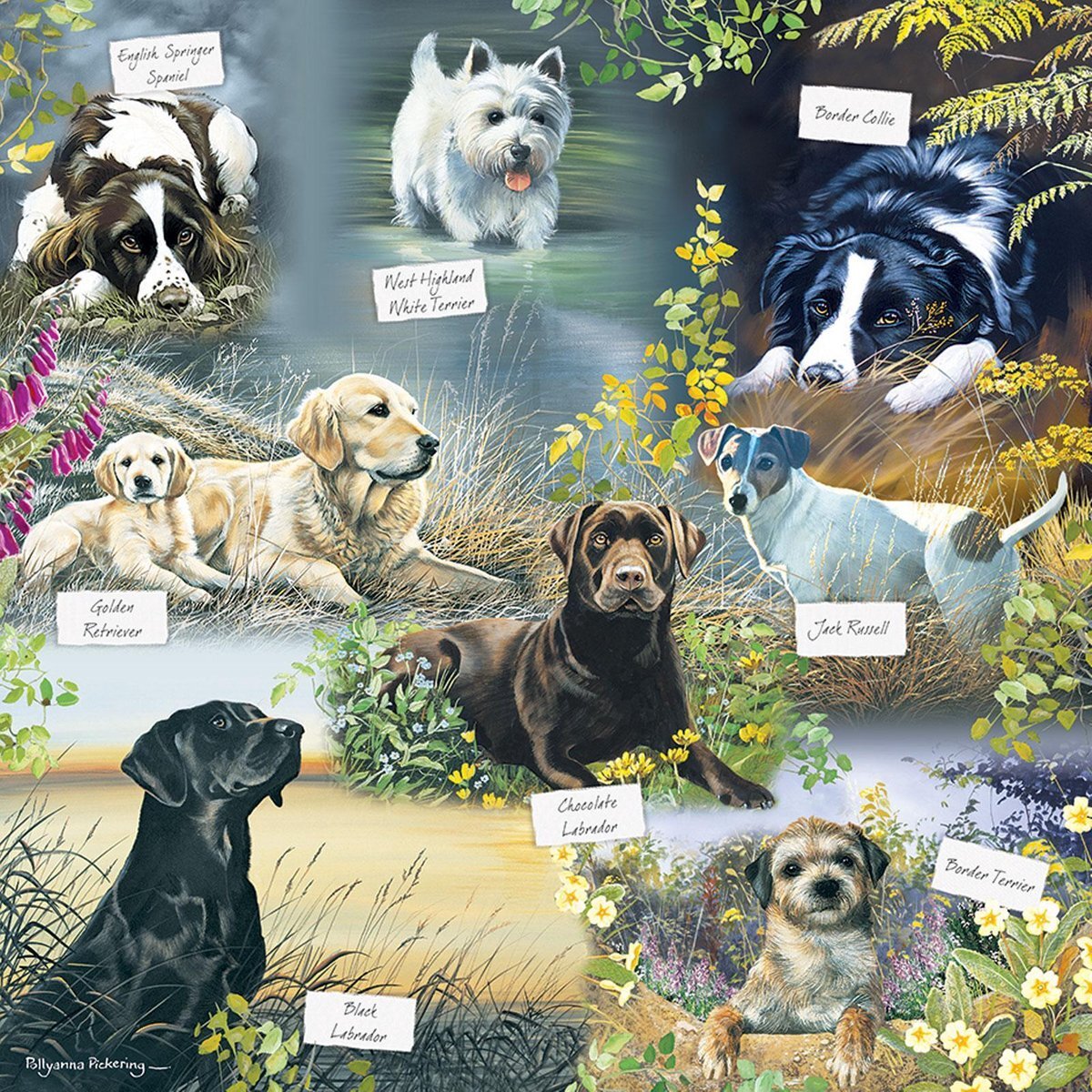 Otter House Man's Best Friends Puzzel 1000 Stukjes