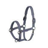 Eskadron Halfter Kunstleder Jewel Double Pin Platinum 26/27 Full Slate Blue