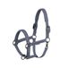 Eskadron Halfter Kunstleder Jewel Double Pin Platinum 26/27 Full Slate Blue