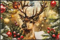 wash+dry Festive Spirit Deurmat, 50 x 75 cm, voor binnen en buiten, afwasbaar