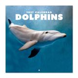 Grupo Erik Dolphins Wall Calendar 2027 UK