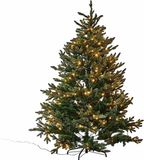 LOBERON Kerstboom Franck groen 180 cm