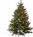 LOBERON Kerstboom Franck groen 180 cm