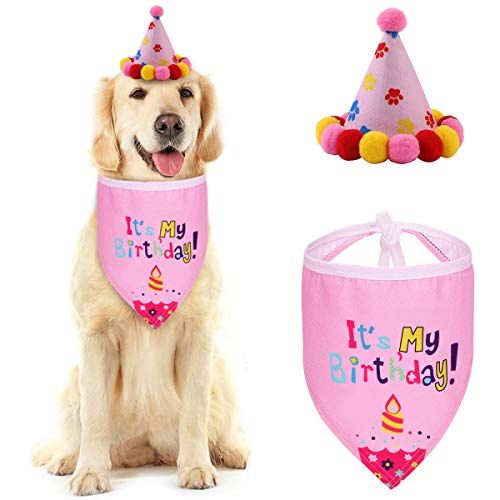 Vind hoed verjaardag in Honden-accessoires op