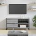 Maison Exclusive - Meuble TV, dimensions : 100 x 36 x 49,5 cm, finition Sonoma gris