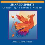 Shared Libri GmbH Shared Spirits Paperback