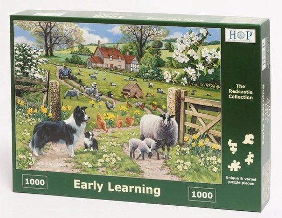 House of Puzzles Legpuzzel - 1000 stukjes - Early Learning - Nostalgie en Geschiedenis