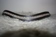 HKM MHS wave frontriem Chrystals RG- bruin leer - Cob (38cm)