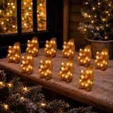 Lumineo Lichtsnoer - 2x - 5 verlichte eekhoorns - LED lichtsnoer - 17,5 x 200 x 13,5 cm - kerstverlichting